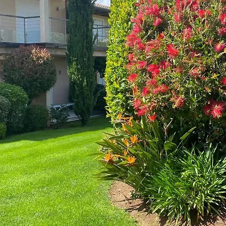 à 50 Mètres De La * Zonza