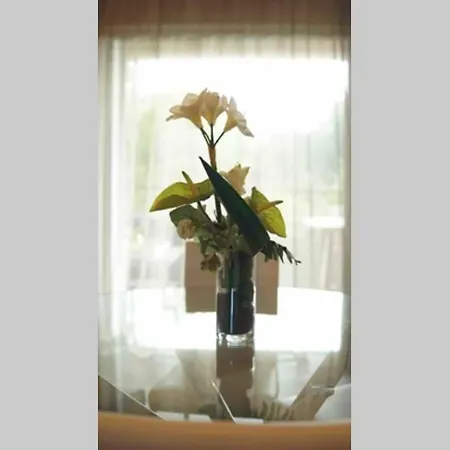 A 50 Metres De La Apartment *