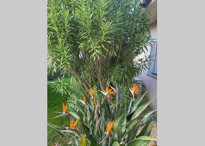 公寓 A 50 Metres De La 宗扎