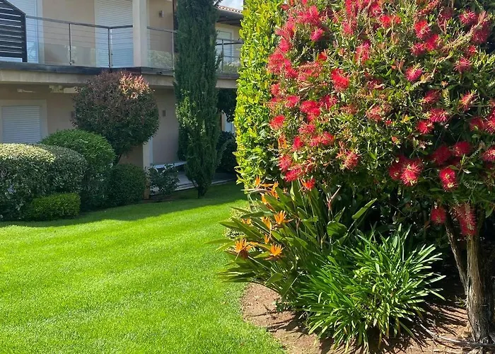 A 50 Metres De La * 宗扎