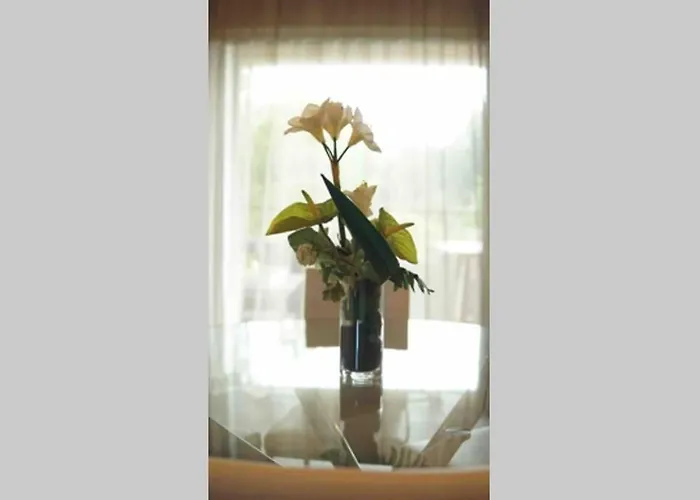 A 50 Metres De La 公寓 *