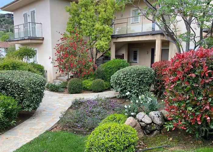 A 50 Metres De La 宗扎